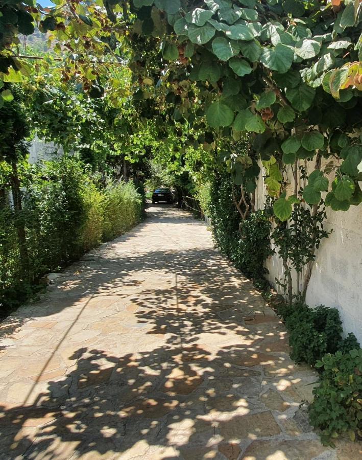 בראט Xho'S Forest Guest House מראה חיצוני תמונה