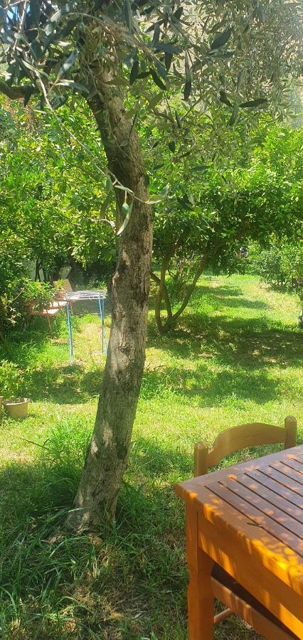 בראט Xho'S Forest Guest House מראה חיצוני תמונה
