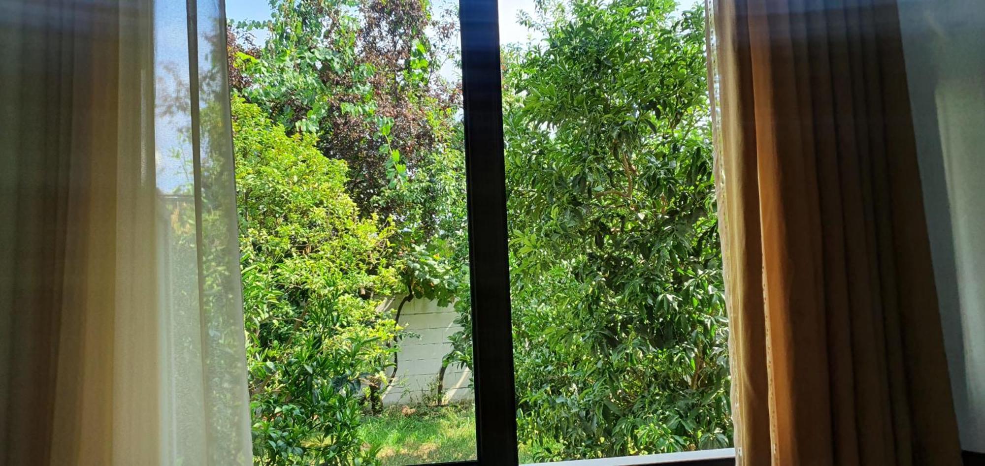 בראט Xho'S Forest Guest House חדר תמונה